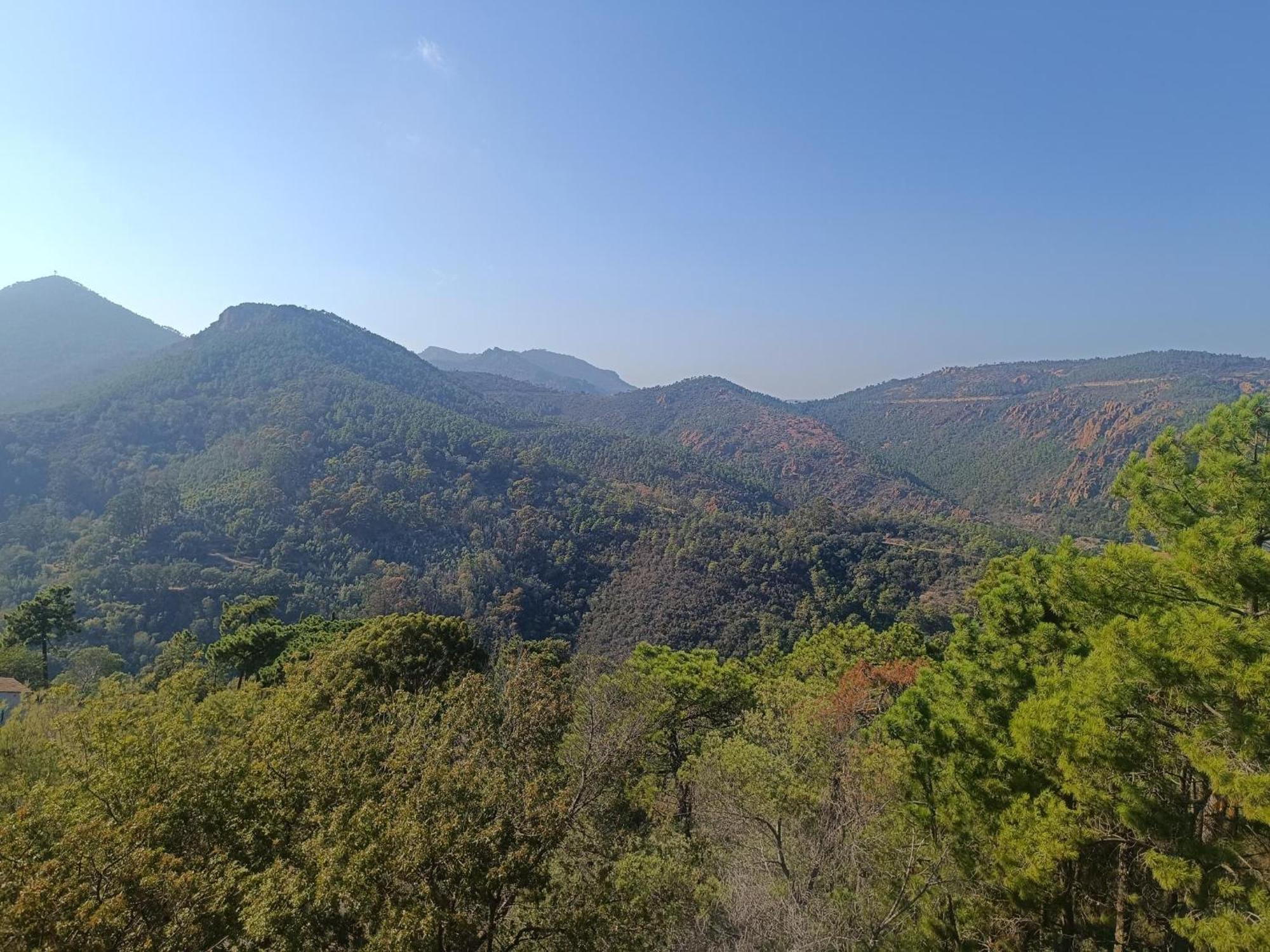 Magnifique Vue Mer Et Piscine - Les Cles De L Esterel Théoule-sur-Mer Eksteriør bilde